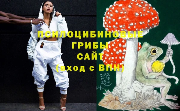 ПСИЛОЦИБИНОВЫЕ ГРИБЫ Заводоуковск