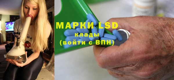 ПСИЛОЦИБИНОВЫЕ ГРИБЫ Заводоуковск