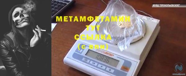 ПСИЛОЦИБИНОВЫЕ ГРИБЫ Заводоуковск