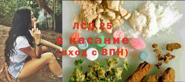 ПСИЛОЦИБИНОВЫЕ ГРИБЫ Заводоуковск