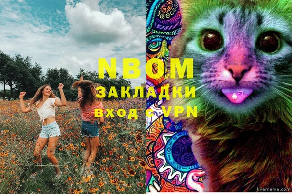 ПСИЛОЦИБИНОВЫЕ ГРИБЫ Заводоуковск