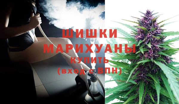 ПСИЛОЦИБИНОВЫЕ ГРИБЫ Заводоуковск