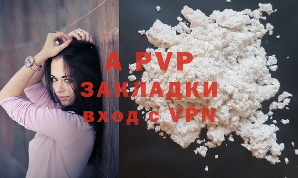 ПСИЛОЦИБИНОВЫЕ ГРИБЫ Заводоуковск