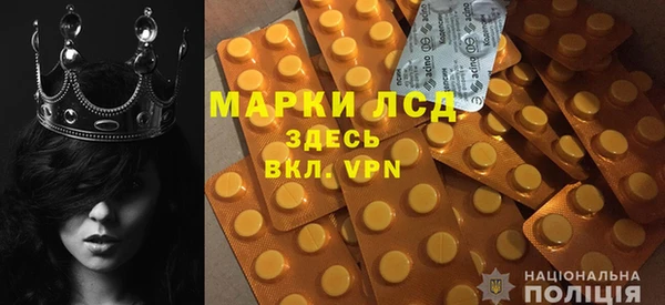 ПСИЛОЦИБИНОВЫЕ ГРИБЫ Заводоуковск