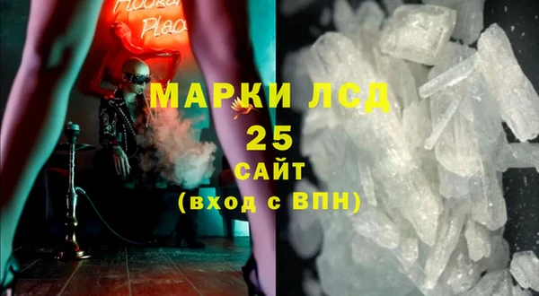 ПСИЛОЦИБИНОВЫЕ ГРИБЫ Заводоуковск