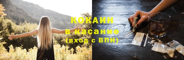 ПСИЛОЦИБИНОВЫЕ ГРИБЫ Заводоуковск
