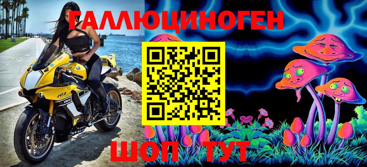 Псилоцибиновые грибы мицелий Воронеж