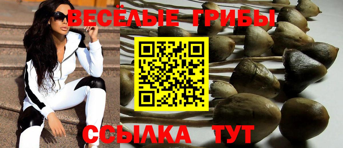 Воронеж  Галлюциногенные грибы Magic Shrooms  Вход с VPN 